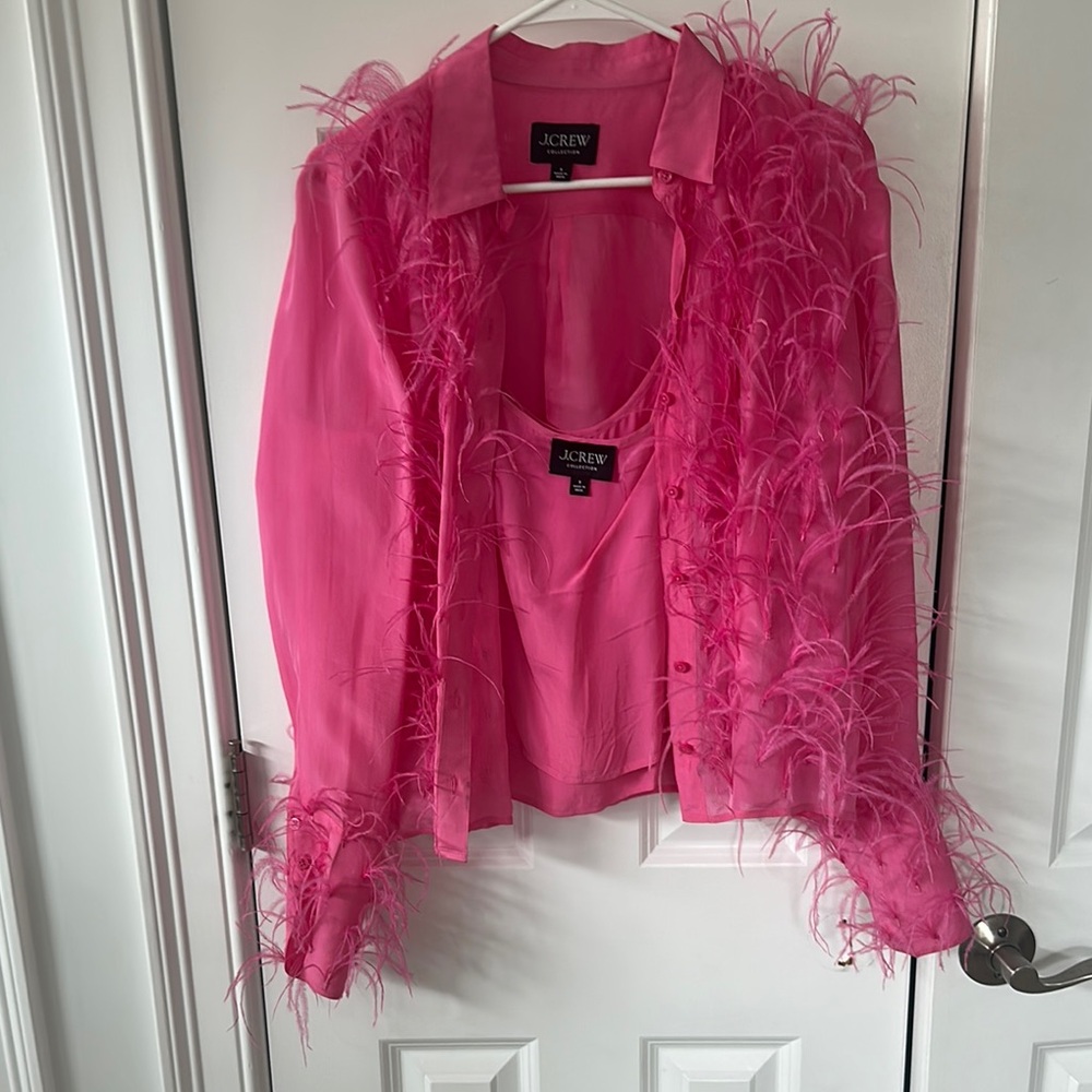 J.Crew Pink Feathered Blouse